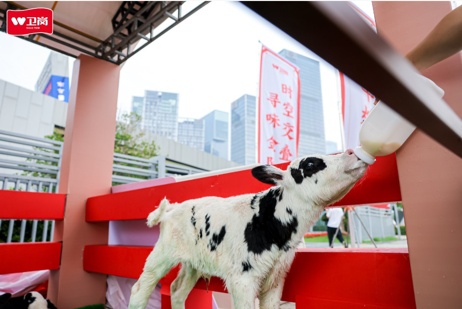 微信图片_20250612120334.png